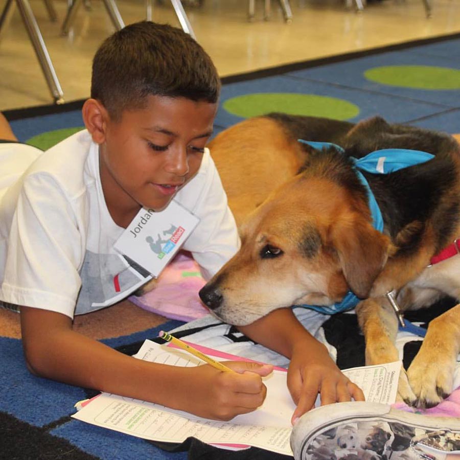 Pet Reading Therapy: One Author’s Experience featured image